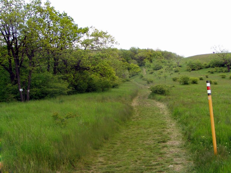 P1011834.JPG