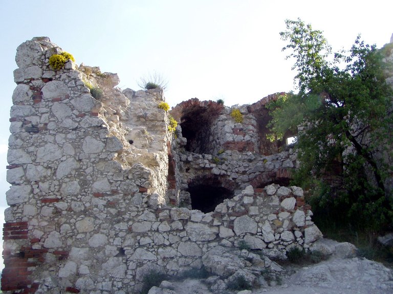 P1011872.JPG