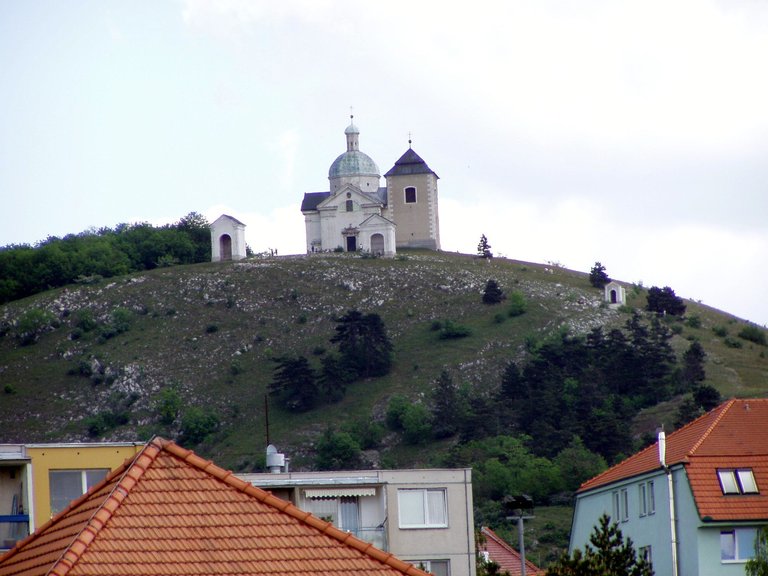 P1011784.JPG