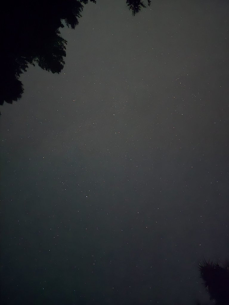 1000036245.jpg