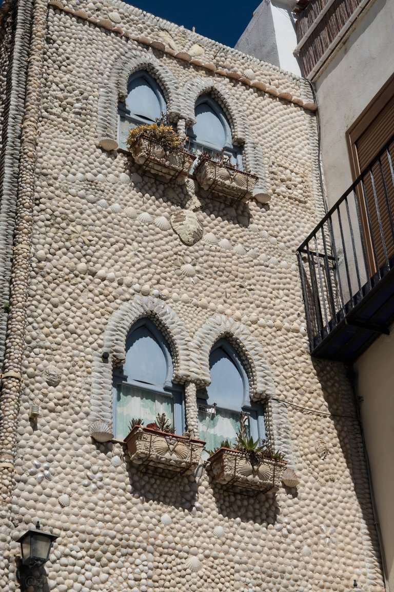 DSC01442.jpg