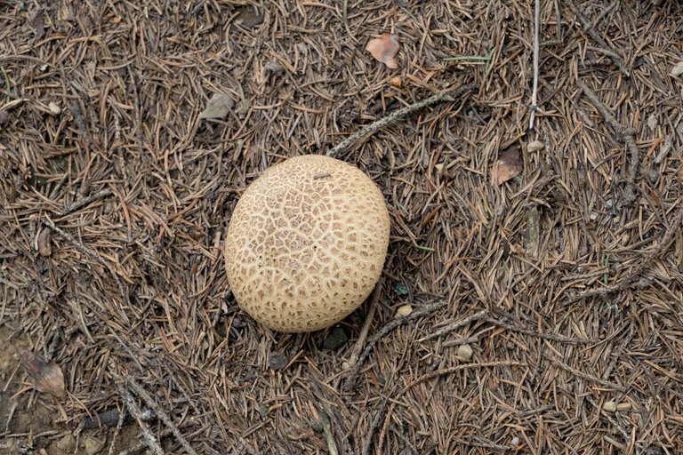 DSC09170.jpg