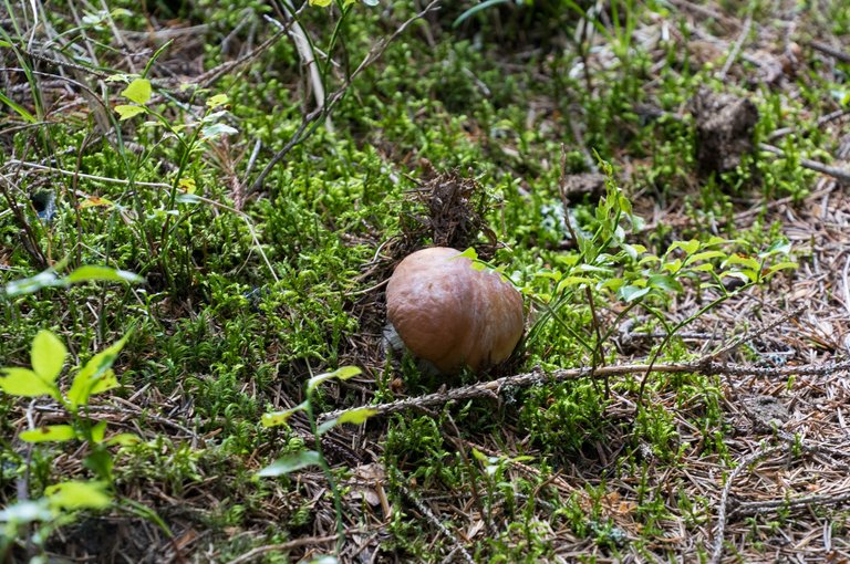 DSC09053.jpg