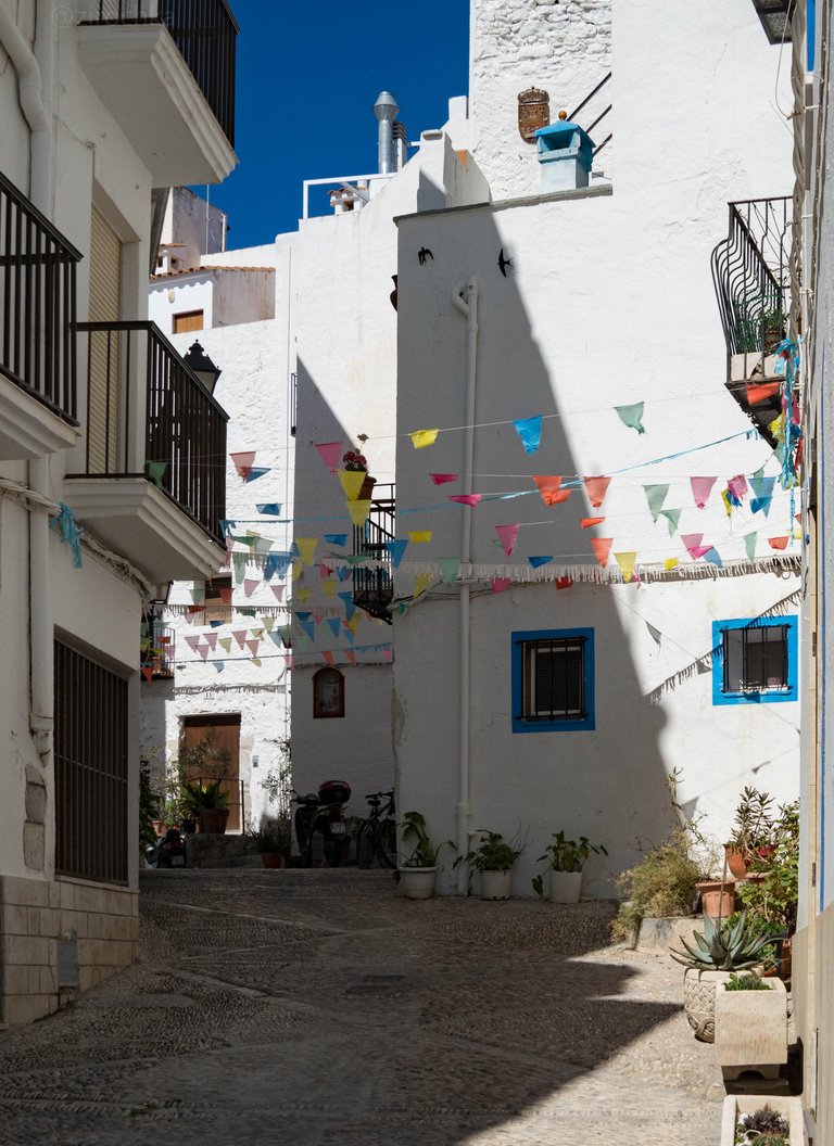 DSC01438.jpg