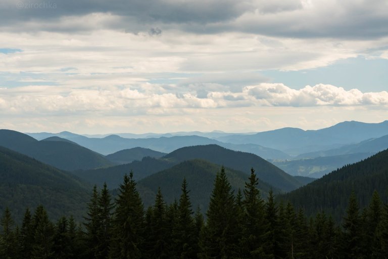 DSC09175.jpg