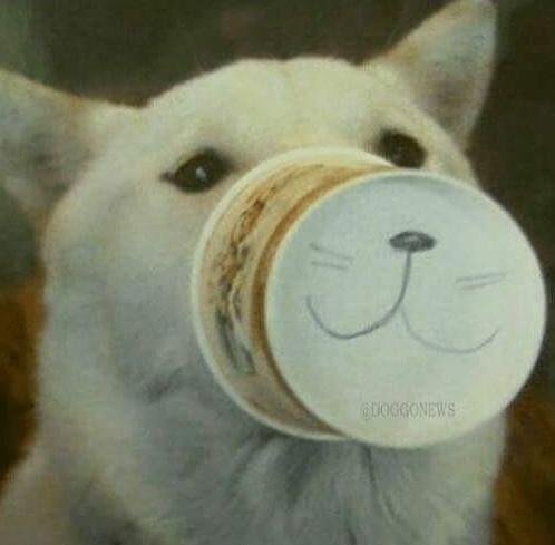 5CEvyaWxjaEsmCgW4MfFaKbin5ghTyqyAUXoDGbmgk8ZxGmfhMrE8Cvc6e6BwiAVAuPCLztSJKbDdFhne.jpeg