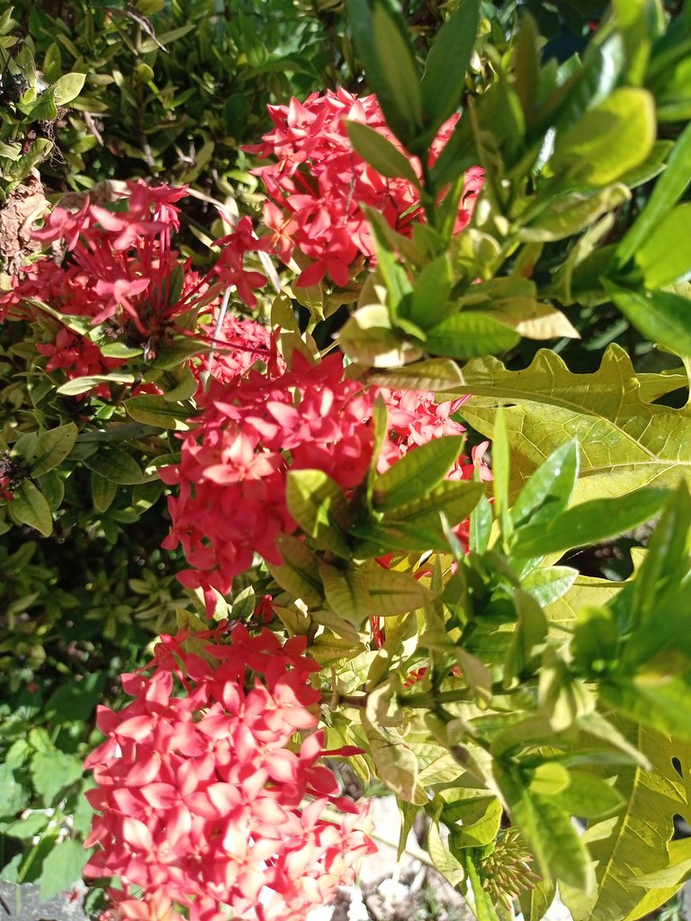 IMG_20231219_110640.jpg