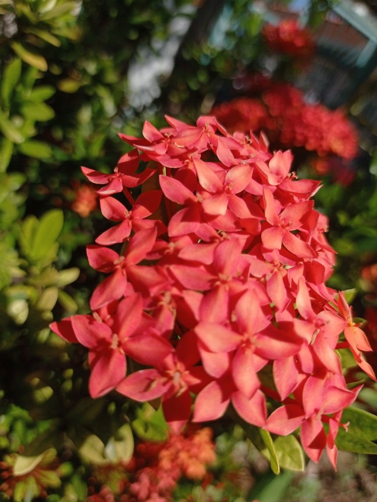 IMG_20231219_110656_1.jpg