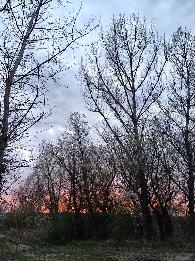 IMG20250409191417.jpg