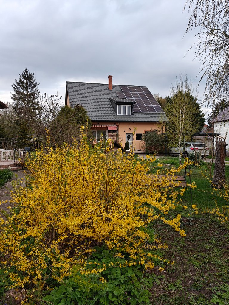 IMG20250409181928.jpg