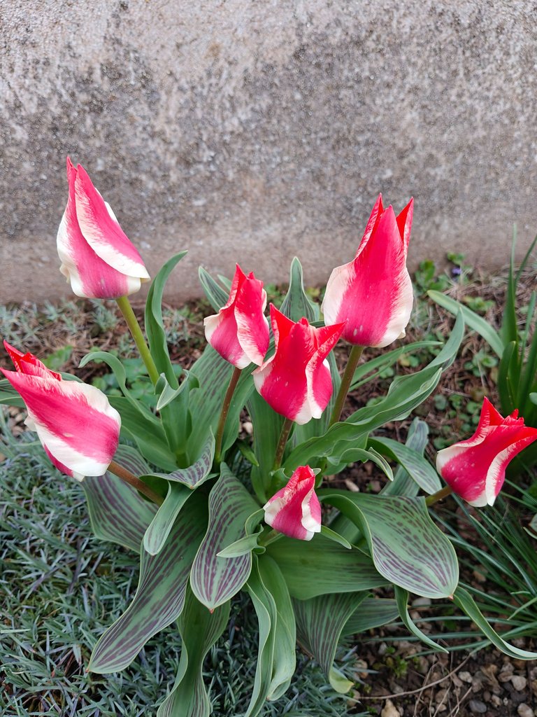 IMG20250405184247.jpg