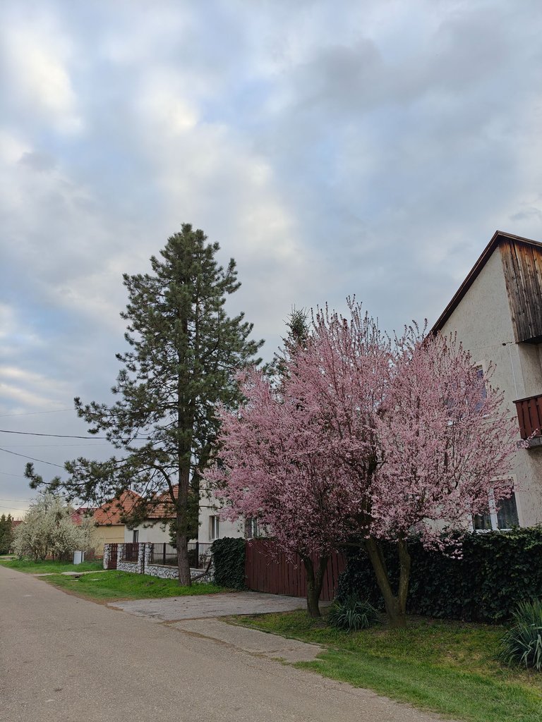 IMG20250409184016.jpg