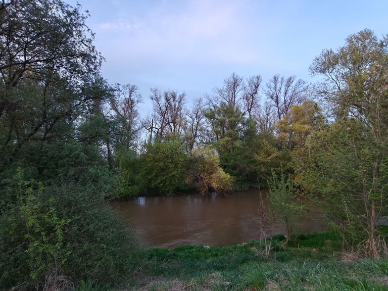 IMG20250417192250.jpg