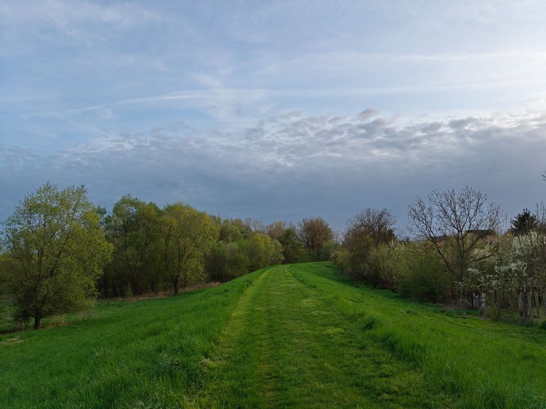 IMG20250417191311.jpg