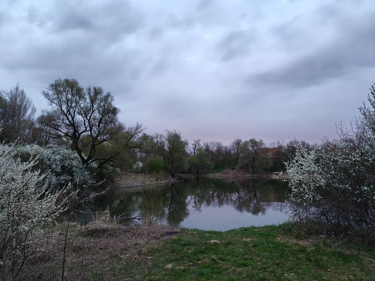 IMG20250409191342.jpg