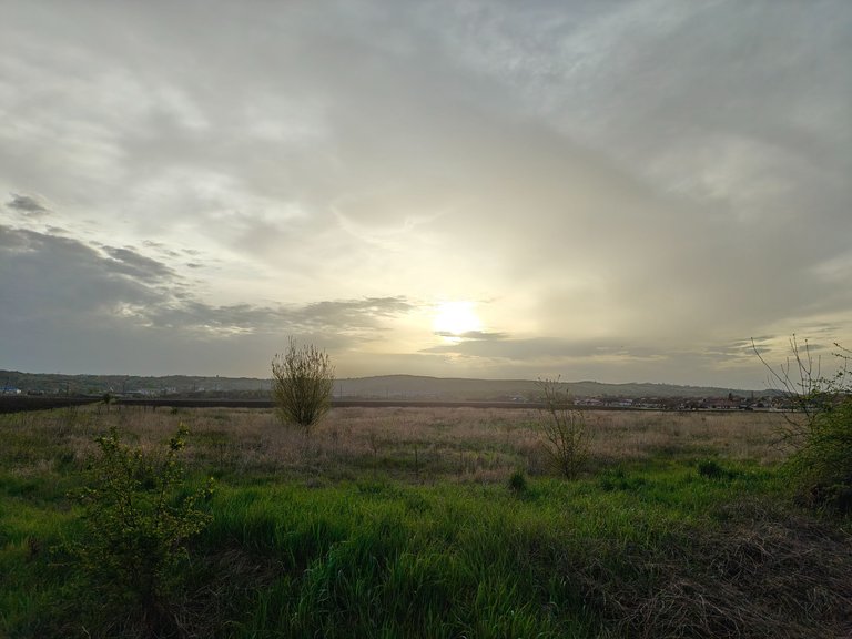 IMG20250417184559.jpg