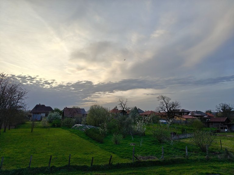 IMG20250417191507.jpg