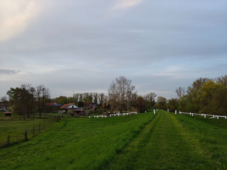 IMG20250417191617.jpg
