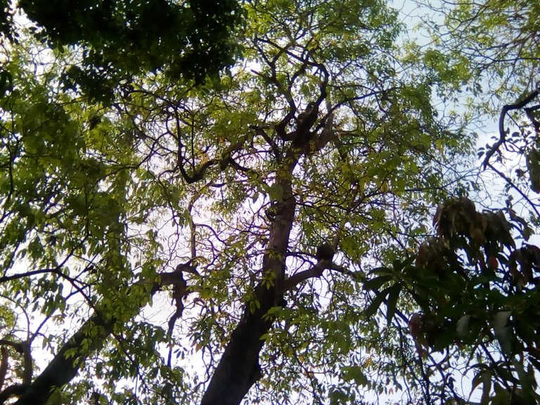 IMG_20240620_083126.jpg