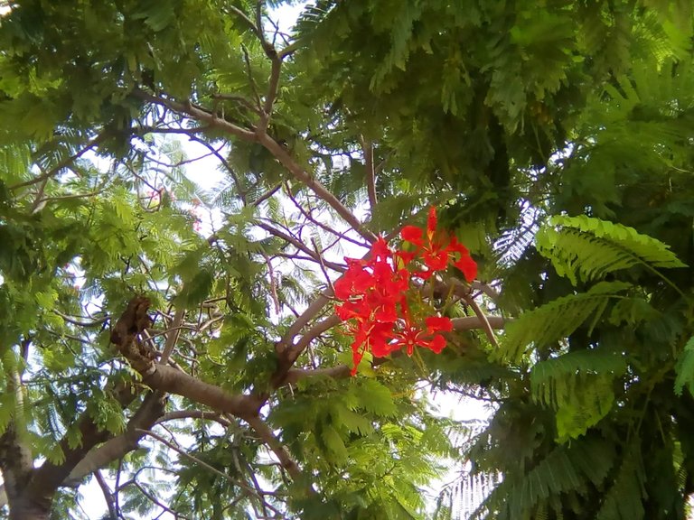 IMG_20240620_083341.jpg