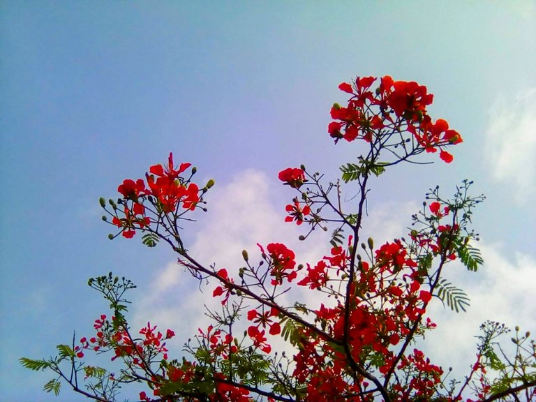 IMG_20240620_083501-EFFECTS.jpg