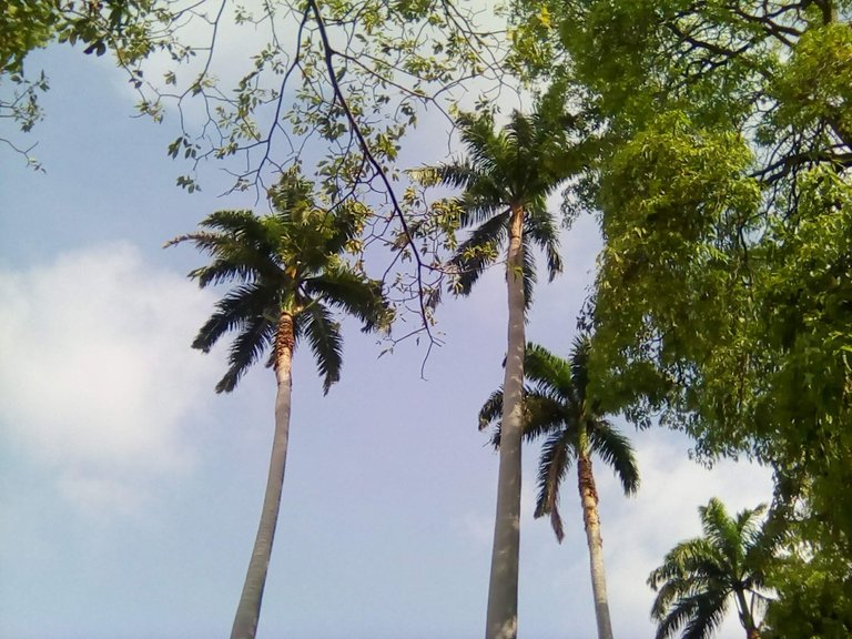 IMG_20240620_083201.jpg