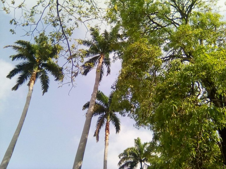 IMG_20240620_083155.jpg