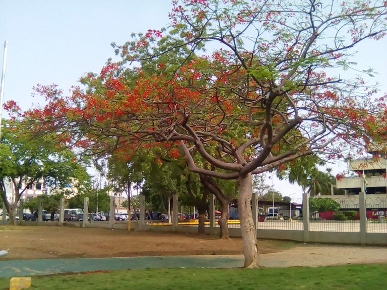 IMG_20240620_083440.jpg