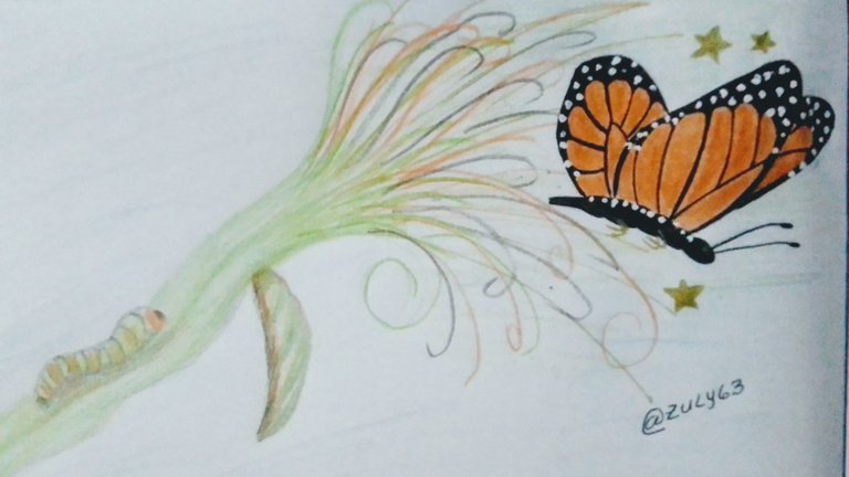 Mi dibujo de la transformación de la mariposa