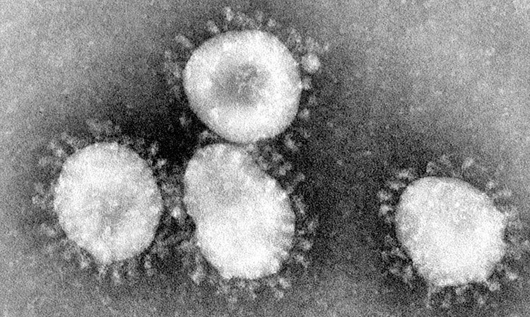 200325181coronavirus.17968.jpg