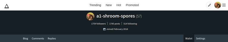 Screenshot 20190804 at 3.53.35 PM.png