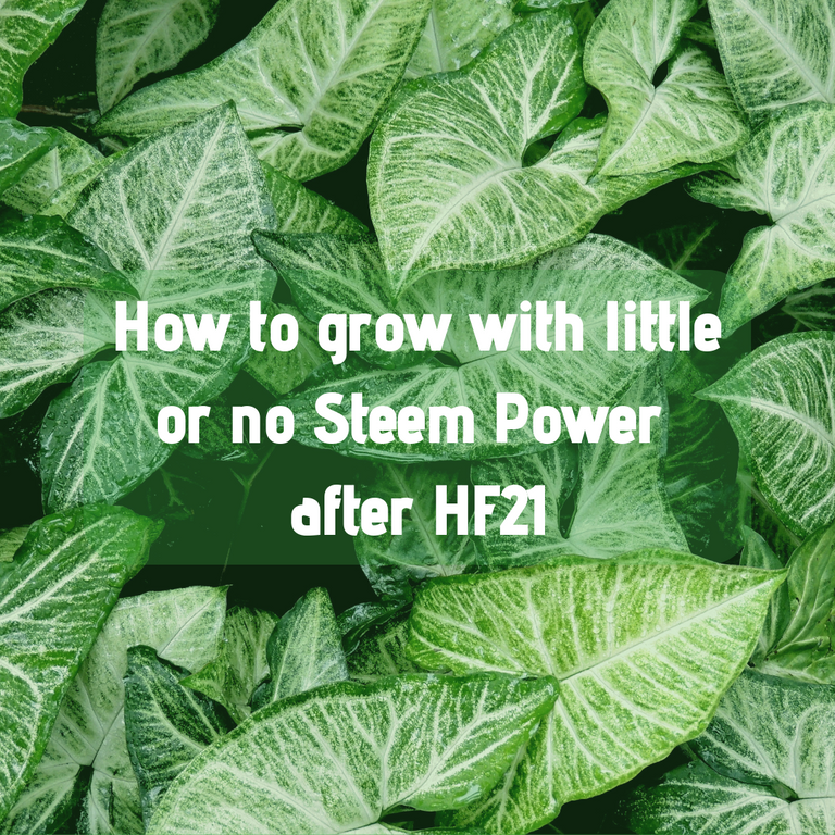 How to grow with little or no Steem Power after HF21.png