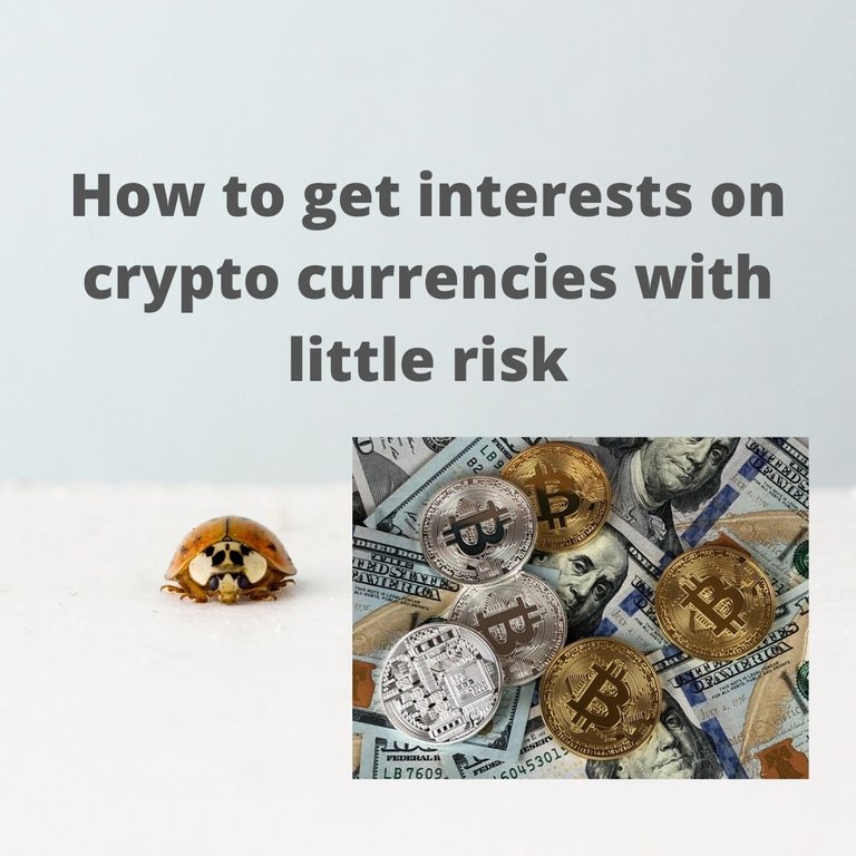 How to get interests on crypto currencies with little risk.jpg