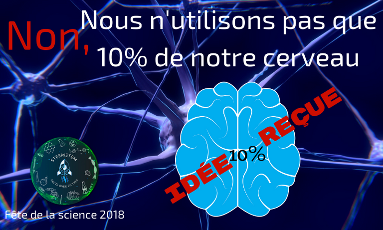 Nous n'utilisons pas que 10 de notre cerveau.png