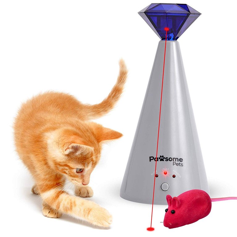 Cat Laser Toy