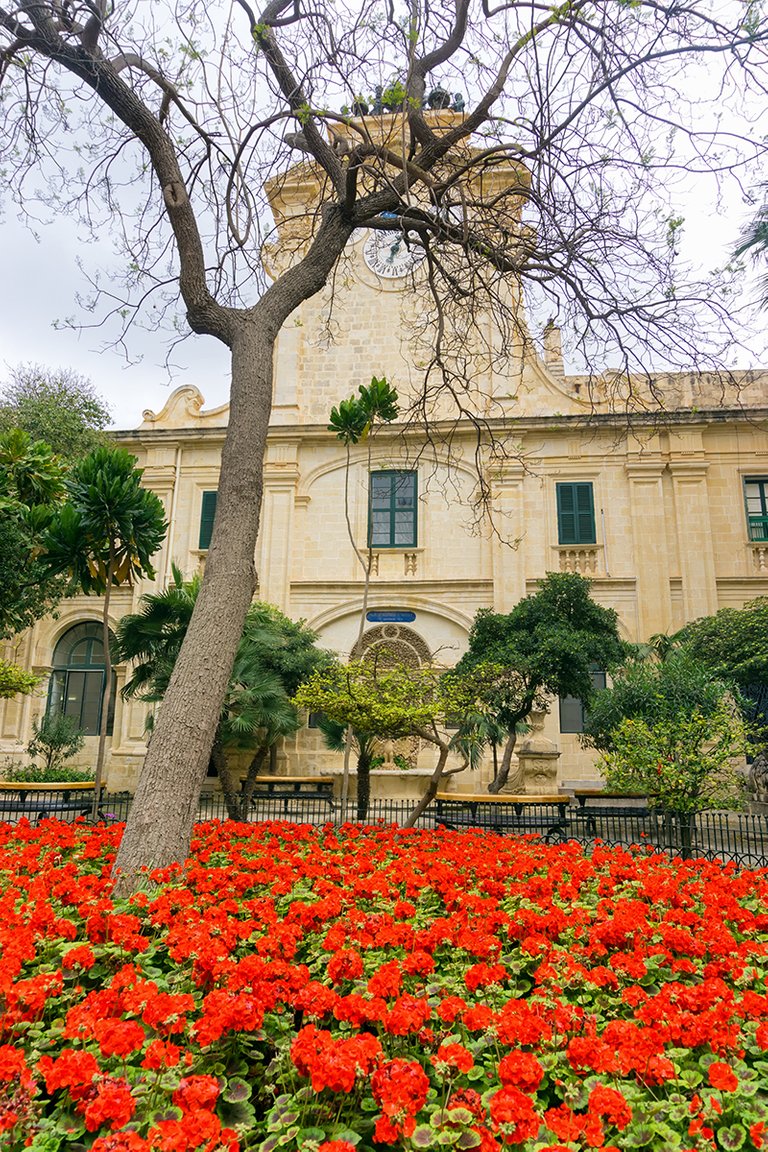 malta_valletta_garden_grandmaster's_palace.jpg