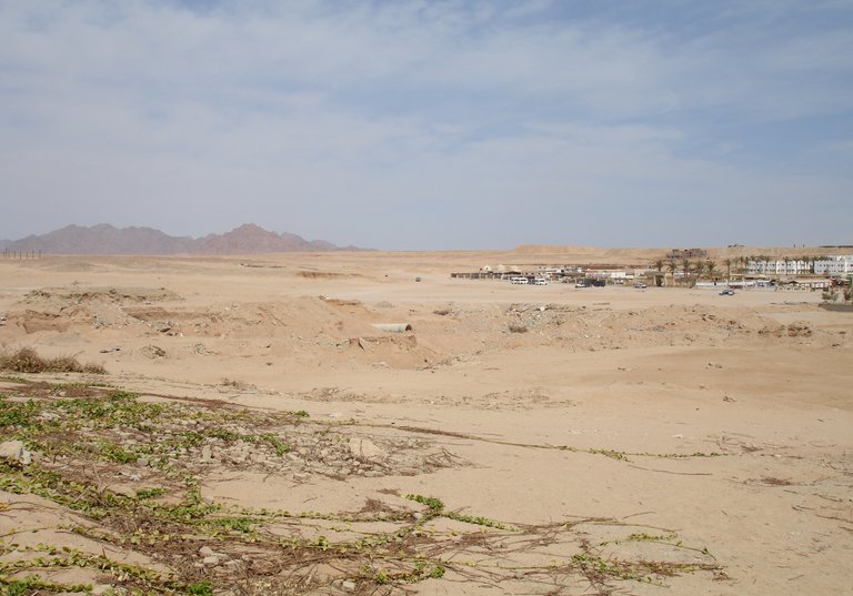 EgyptDesert.jpg