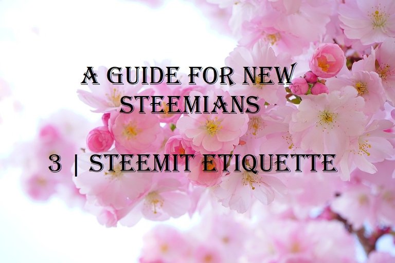 a guide for new steemians 3 steemit etiquette.jpg