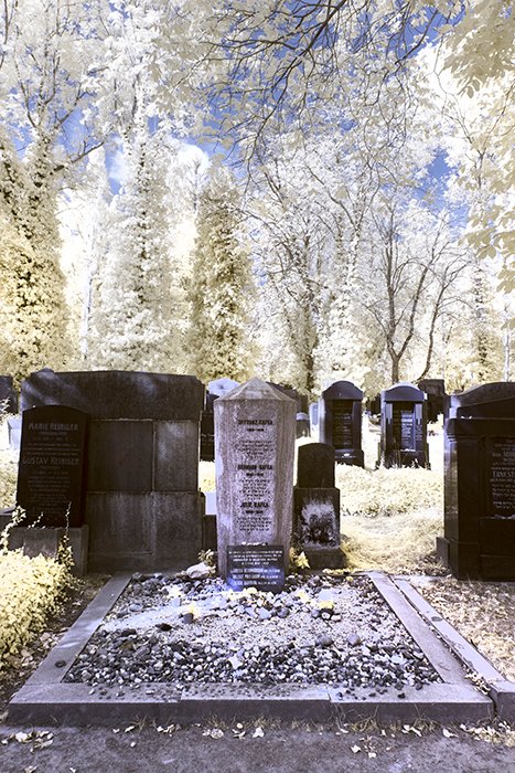 Franz Kafka Grave Site.jpg