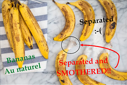 Bananas mistreated500x335.png