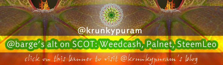 banner_krunkypuram.jpg