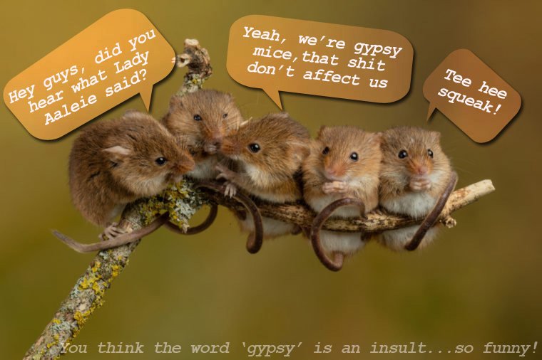 gypsy_mice.jpg