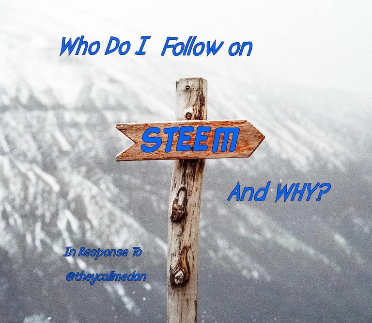 who do i follow.jpg