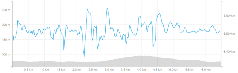 screenshotwww.strava.com2020.01.0316_18_03.png