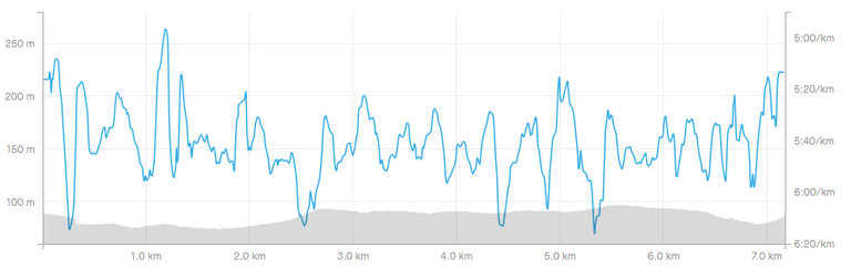 screenshotwww.strava.com2019.11.1303_06_11.png