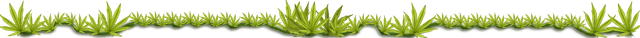 WeedLeavesBanner.png