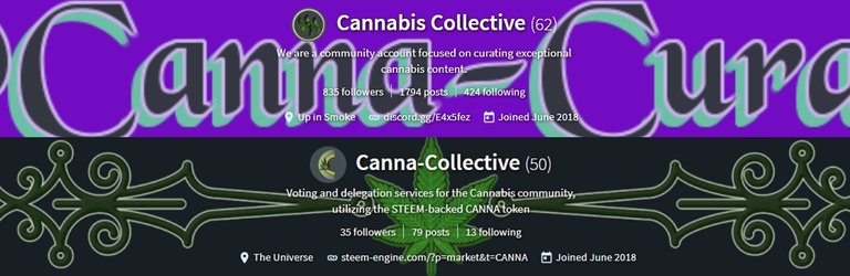 CannaCurateCannaCollectiveBanners.jpg