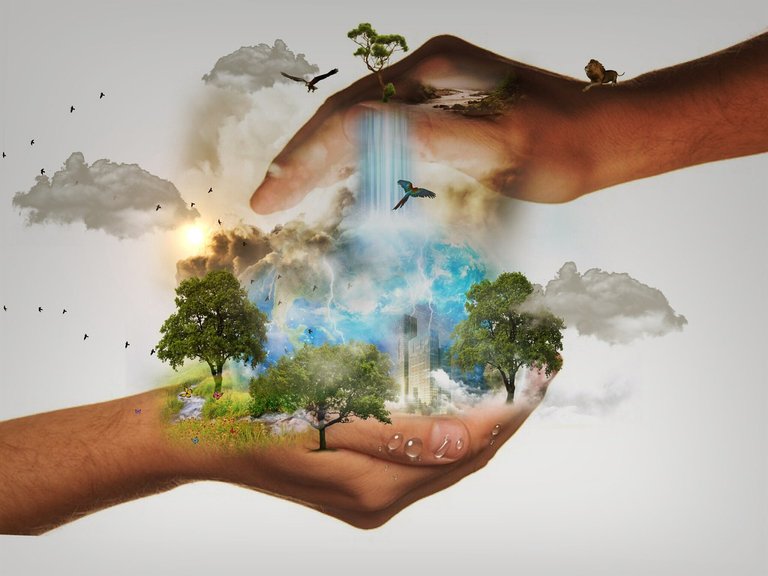 natureconservation480985_1280.jpg