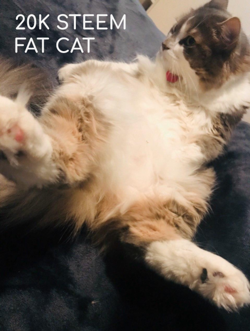 Untitled drawing.png