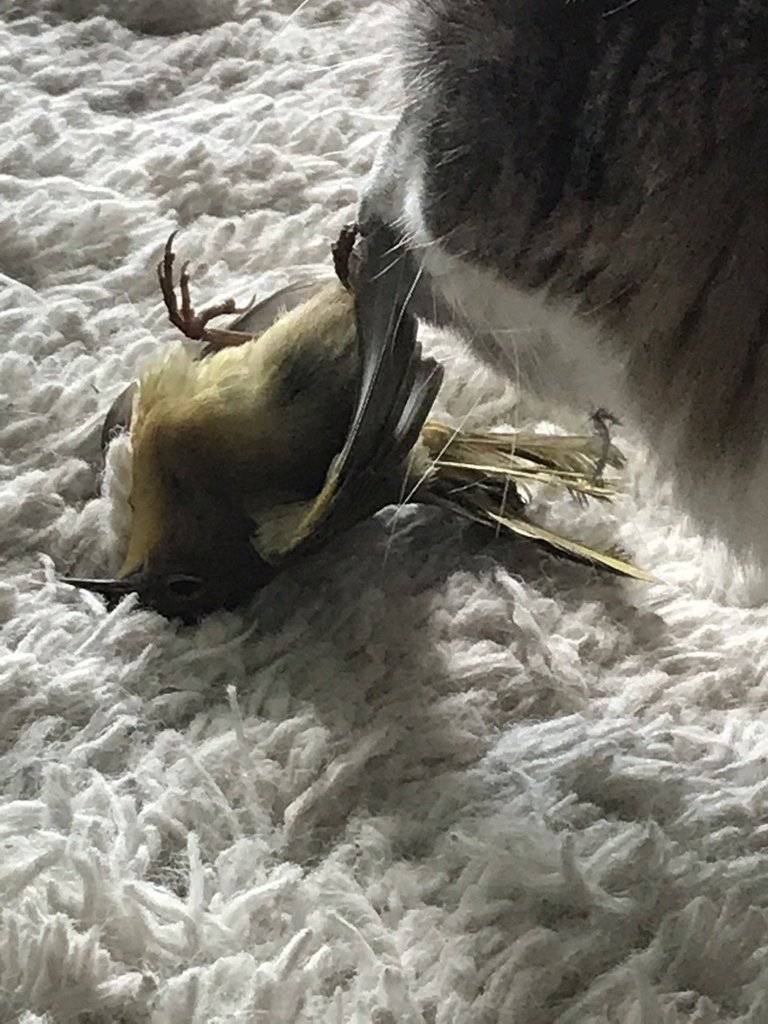 IMG_20190918_133904_021 1.jpg